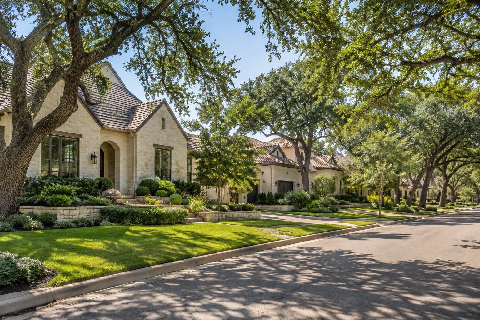 A quiet Central Texas street with live oaks, illustrative