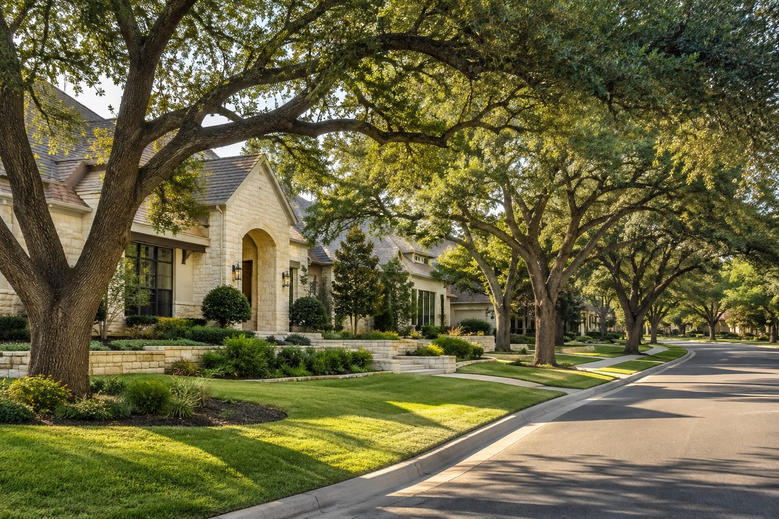 A Central Texas street with homes, illustrative
